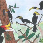 The Hornbills